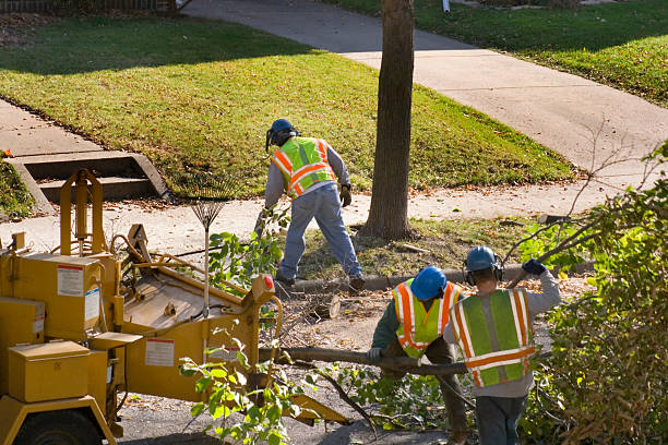 Best Seasonal Cleanup (Spring/Fall)  in Mission Hills, CA